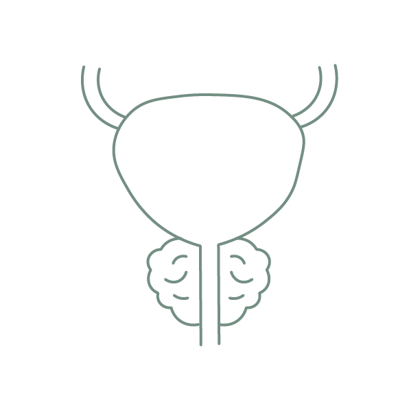 Prostaatklachten icoon