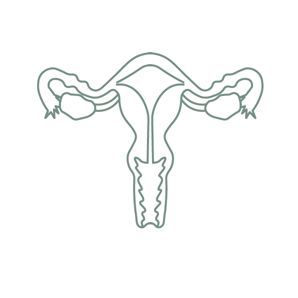 Gynaecologische klachten icoon